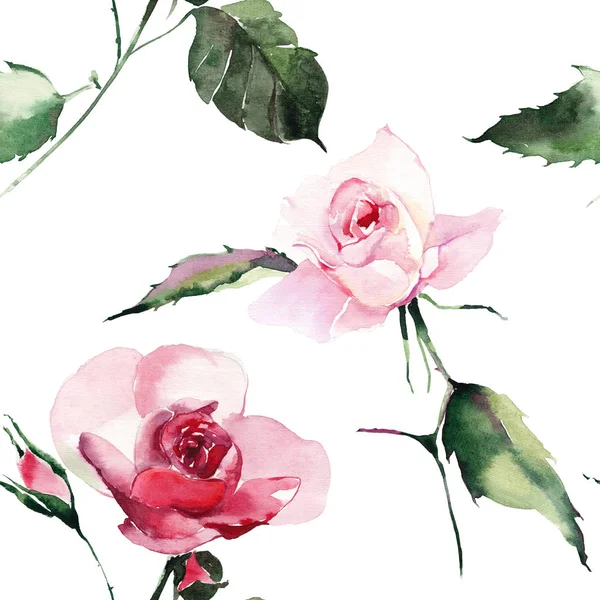 入札穏やかな洗練された素晴らしい素敵なかわいい春の花ハーブ植物赤い粉末ピンク バイオレットのバラを緑の葉パターン手水彩スケッチ 織物に最適 — ストック写真