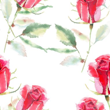 Güzel parlak sofistike harika güzel bahar yaz çiçek bitki botanik parlak kırmızı rustik gül yeşil yaprakları desen suluboya el kroki ile. Kartları mükemmel Tekstil