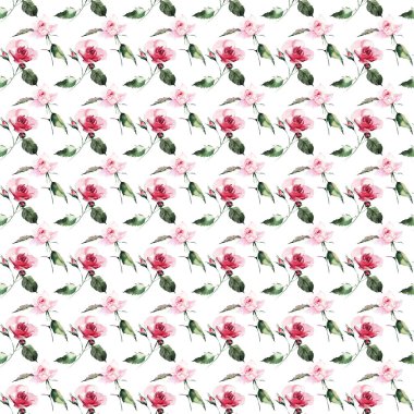 İhale nazik sofistike harika güzel şirin bahar çiçek bitki botanik kırmızı toz pembe Mor gül yeşil yaprakları desen suluboya el kroki ile. Tekstil için mükemmel