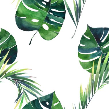 Parlak güzel yeşil bitkisel tropikal harika hawaii çiçek yaz desen tropic palmiye suluboya el illüstrasyon bırakır. Tekstil, duvar kağıtları, arka planlar için mükemmel