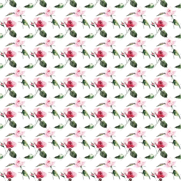 温柔精致可爱可爱的春天花卉草药植物红色粉状粉红色紫罗兰色玫瑰与绿叶图案水彩手素描 适合纺织 — 图库照片