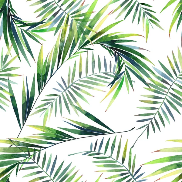 Parlak güzel yeşil bitkisel tropikal harika hawaii çiçek yaz desen tropic palmiye suluboya el illüstrasyon bırakır. Tekstil, duvar kağıtları, arka planlar için mükemmel