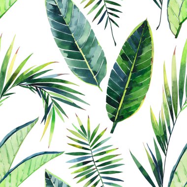 Parlak güzel yeşil bitkisel tropikal harika hawaii çiçek yaz desen tropic palmiye suluboya el illüstrasyon bırakır. Tekstil, duvar kağıtları, arka planlar için mükemmel