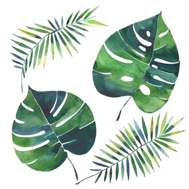 Parlak güzel yeşil bitkisel tropikal harika hawaii çiçek yaz desen tropic palmiye suluboya el illüstrasyon bırakır. Tekstil, duvar kağıtları, arka planlar için mükemmel