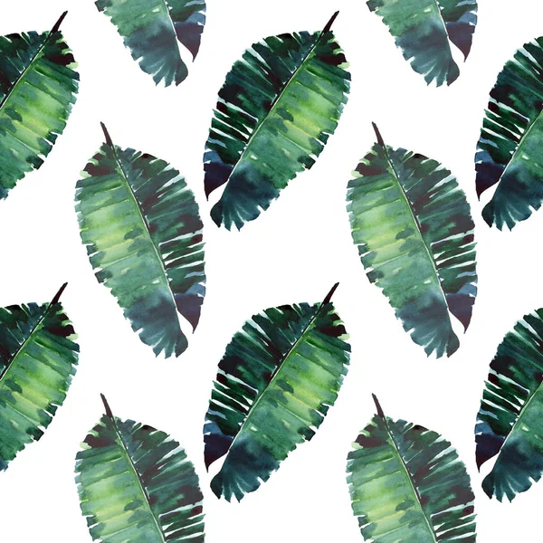 明るい緑ハーブ熱帯素晴らしいハワイ花夏の美しいパターン熱帯ヤシの葉水彩手の図 テキスタイル 背景に最適 — ストック写真