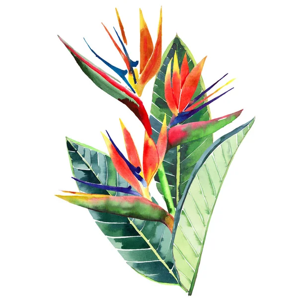 明亮美丽的绿色花卉草本热带可爱的夏威夷可爱的多色夏季热带黄色的花朵与绿色棕榈叶水彩手素描 适合纺织 — 图库照片