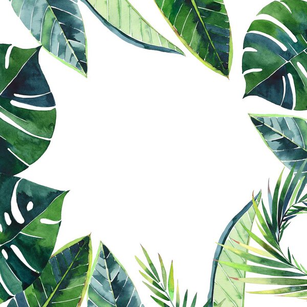 Beautiful green herbal tropical wonderful hawaii floral summer frame of a tropic palm leaves watercolor hand illustration. Perfect for textile, wallpapers, backgrounds
