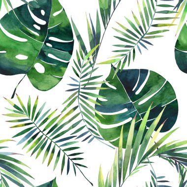 Parlak güzel yeşil bitkisel tropikal harika hawaii çiçek yaz bir tropik palmiye ve desen monstera suluboya el illüstrasyon bırakır. Tekstil, duvar kağıtları, arka planlar için mükemmel
