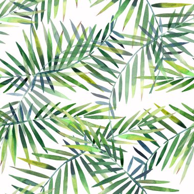 Parlak güzel yeşil bitkisel tropikal harika hawaii çiçek yaz desen tropic palmiye suluboya el illüstrasyon bırakır. Tekstil, duvar kağıtları, arka planlar için mükemmel