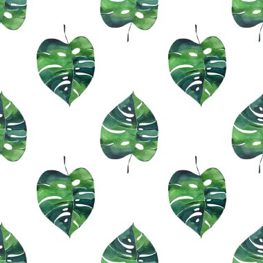 Parlak güzel yeşil bitkisel tropikal harika hawaii çiçek yaz bir tropik palmiye ve desen monstera suluboya el illüstrasyon bırakır. Tekstil, duvar kağıtları, arka planlar için mükemmel