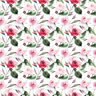 Güzel parlak şık harika renkli yumuşak yumuşak pembe bahar bitkisel tomurcukları ile gül ve desen suluboya el illüstrasyon yeşil yaprakları. Mükemmel tebrik kartı, tekstil, duvar kağıtları için