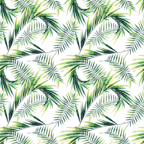 Lumineux Beau Vert Base Plantes Tropicales Merveilleux Hawaii Motif Floral — Photo