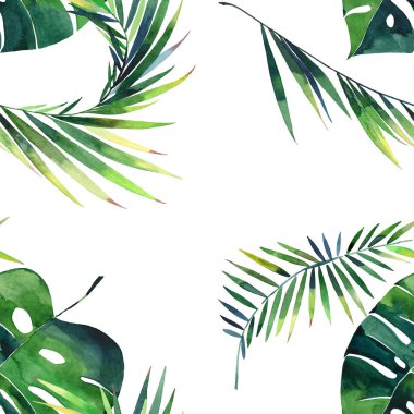 Parlak güzel yeşil bitkisel tropikal harika hawaii çiçek yaz desen tropic palmiye suluboya el illüstrasyon bırakır. Tekstil, duvar kağıtları, arka planlar için mükemmel