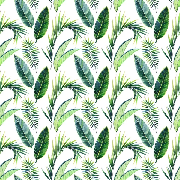 Parlak güzel yeşil bitkisel tropikal harika hawaii çiçek yaz desen tropic monstera muz palmiye suluboya el illüstrasyon bırakır. Tekstil, duvar kağıtları, arka planlar için mükemmel