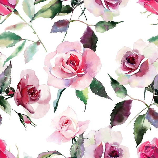 İhale nazik sofistike harika güzel şirin bahar çiçek bitki botanik kırmızı toz pembe Mor gül yeşil yaprakları desen suluboya el kroki ile. Tekstil için mükemmel