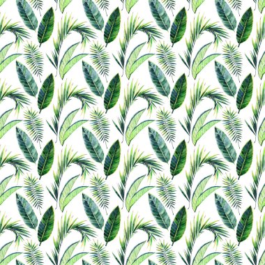 Parlak güzel yeşil bitkisel tropikal harika hawaii çiçek yaz bir tropik palmiye ve desen monstera suluboya el illüstrasyon bırakır. Tekstil, duvar kağıtları, arka planlar için mükemmel