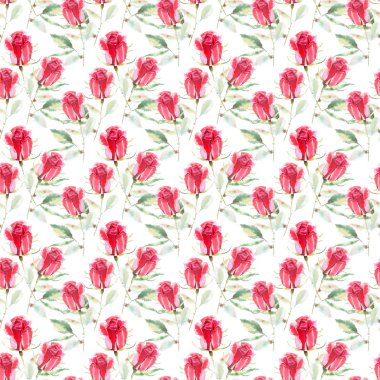 Güzel parlak sofistike harika güzel bahar yaz çiçek bitki botanik parlak kırmızı rustik gül yeşil yaprakları desen suluboya el kroki ile. Kartları mükemmel Tekstil