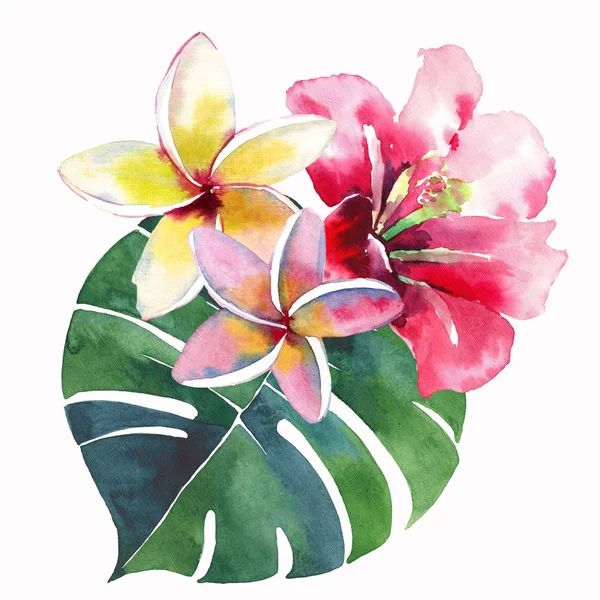 Suluboya el kroki mükemmel Tekstil için parlak güzel yeşil çiçek bitkisel tropikal güzel hawaii şirin çok renkli yaz composi bir tropikal kırmızı pembe beyaz sarı çiçek ile yeşil palmiye yaprakları