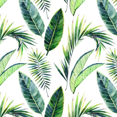 Parlak güzel yeşil bitkisel tropikal harika hawaii çiçek yaz bir tropik palmiye ve desen monstera suluboya el illüstrasyon bırakır. Tekstil, duvar kağıtları, arka planlar için mükemmel