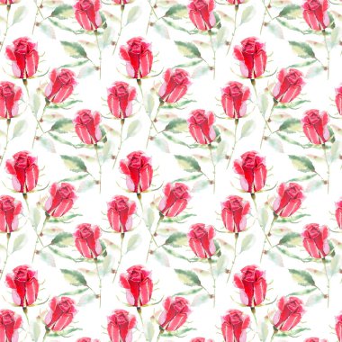 Güzel parlak sofistike harika güzel bahar yaz çiçek bitki botanik parlak kırmızı rustik gül yeşil yaprakları desen suluboya el kroki ile. Kartları mükemmel Tekstil