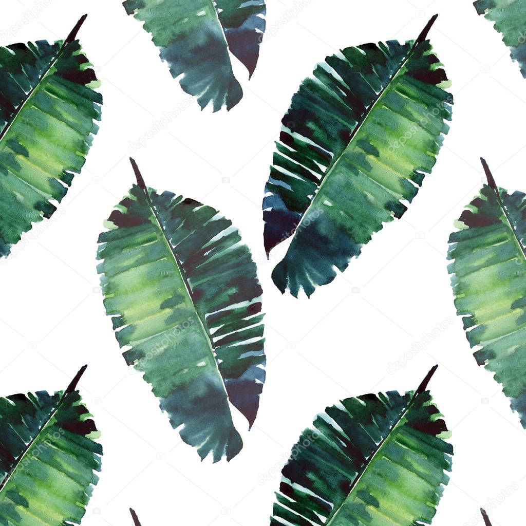 Bright beautiful green herbal tropical wonderful hawaii floral summer pattern of a tropic palm leaves watercolor hand illustration. Perfect for textile, wallpapers, backgrounds