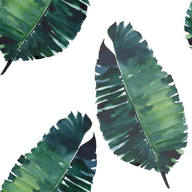 Parlak güzel yeşil bitkisel tropikal harika hawaii çiçek yaz desen tropic palmiye suluboya el illüstrasyon bırakır. Tekstil, duvar kağıtları, arka planlar için mükemmel