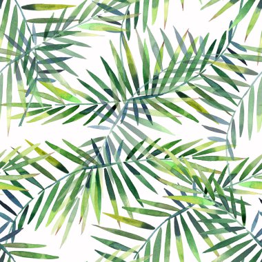 Parlak güzel yeşil bitkisel tropikal harika hawaii çiçek yaz bir tropik palmiye ve desen monstera suluboya el illüstrasyon bırakır. Tekstil, duvar kağıtları, arka planlar için mükemmel