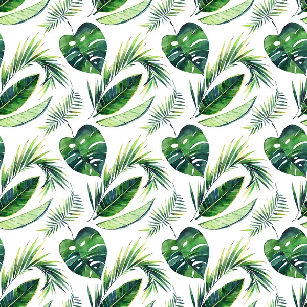 明亮美丽的绿色草本热带美妙的夏威夷花卉夏天图案的热带棕榈和龟背竹叶水彩手插图 完美的纺织品 — 图库照片