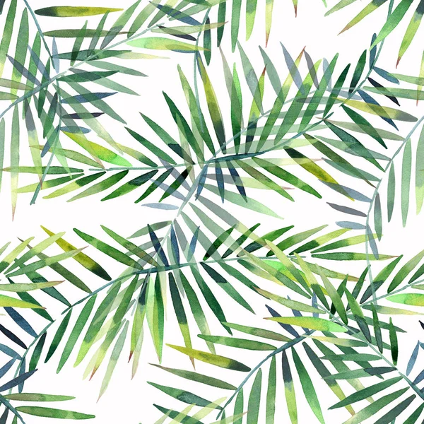 Parlak güzel yeşil bitkisel tropikal harika hawaii çiçek yaz bir tropik palmiye ve desen monstera suluboya el illüstrasyon bırakır. Tekstil, duvar kağıtları, arka planlar için mükemmel