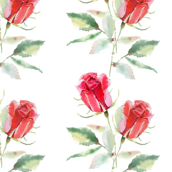 Güzel parlak sofistike harika güzel bahar yaz çiçek bitki botanik parlak kırmızı rustik gül yeşil yaprakları desen suluboya el kroki ile. Kartları mükemmel Tekstil