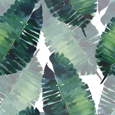 Parlak yeşil bitkisel tropikal harika hawaii çiçek yaz desen tropic monstera palmiye suluboya el illüstrasyon bırakır. Tekstil, duvar kağıtları, arka planlar için mükemmel