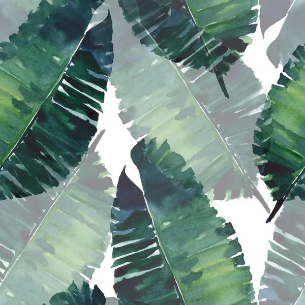 明亮的绿色草本热带美妙的夏威夷花卉夏天图案的热带龟背竹棕榈叶水彩手插图 完美的纺织品 — 图库照片
