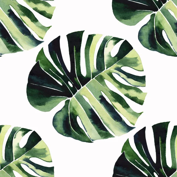 Parlak yeşil bitkisel tropikal harika hawaii çiçek yaz desen tropic monstera palmiye suluboya el illüstrasyon bırakır. Tekstil, duvar kağıtları, arka planlar için mükemmel