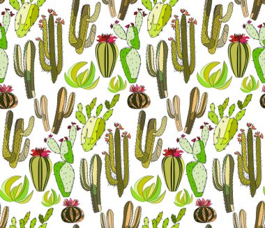 Parlak güzel Meksika hawaii tropikal çiçek bitkisel yaz yeşil Dikişsiz desen bir kaktüs boya çocuk vektör çizim gibi sofistike