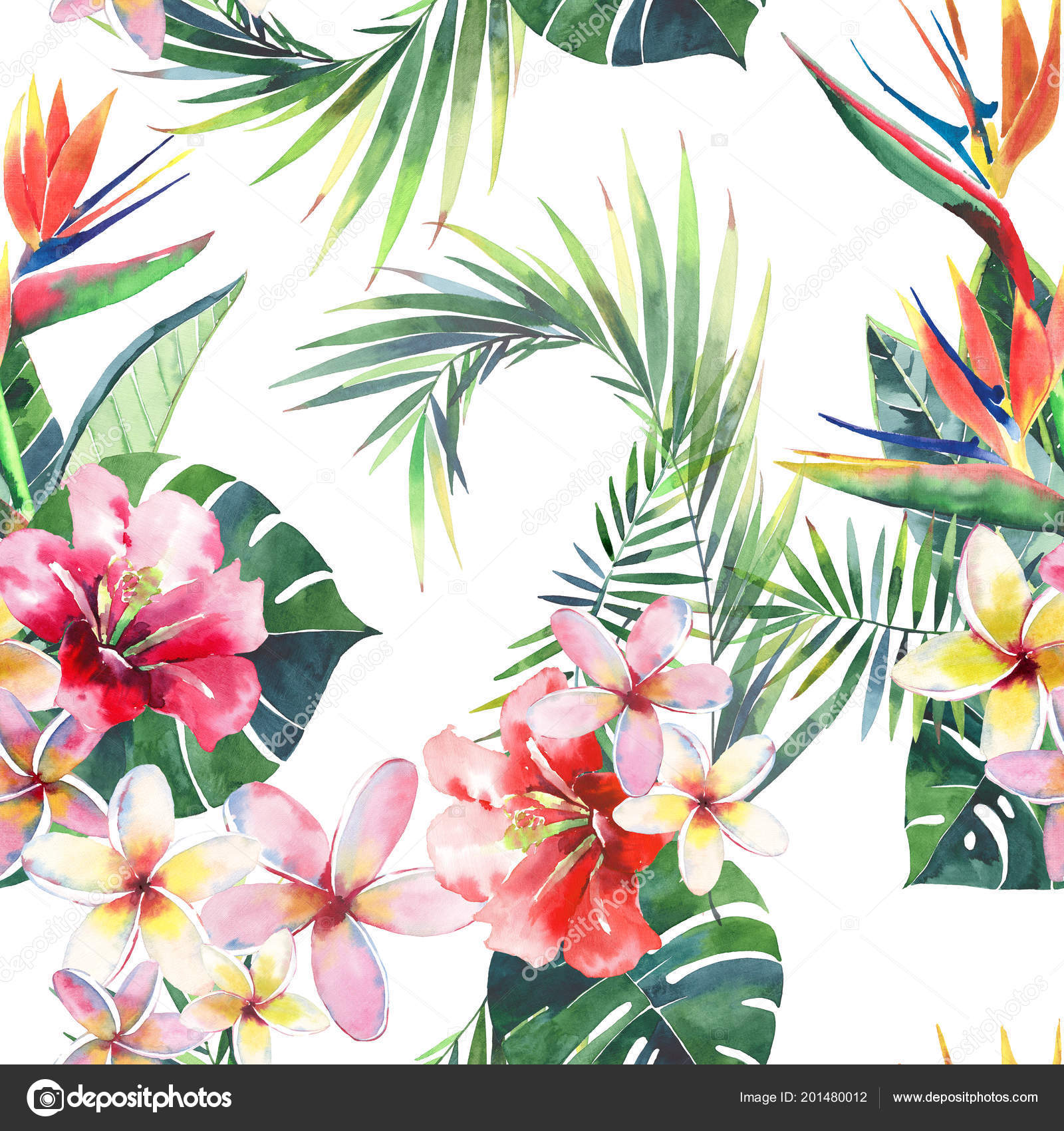 70以上 ハワイの花 イラスト 最高の壁紙のアイデアcahd