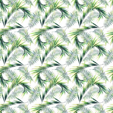 Parlak güzel yeşil bitkisel tropikal harika hawaii çiçek yaz bir tropik palmiye ve desen monstera suluboya el illüstrasyon bırakır. Tekstil, duvar kağıtları, arka planlar için mükemmel