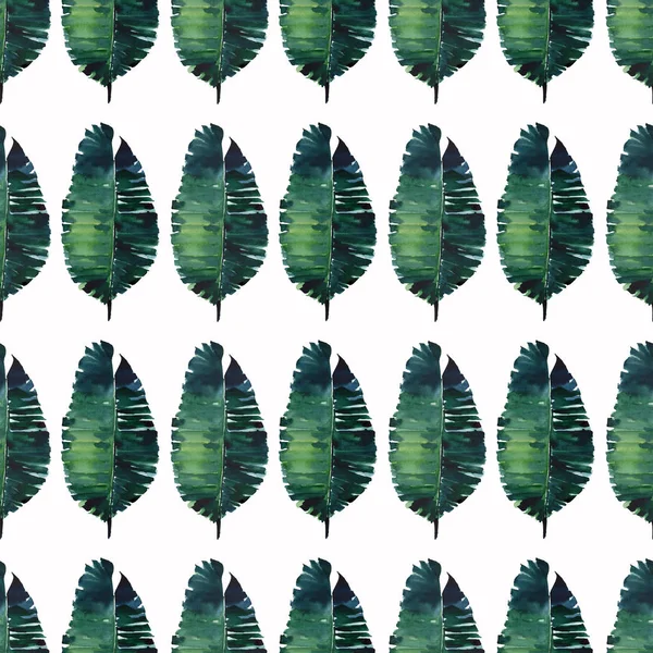 明るい緑ハーブ熱帯素晴らしいハワイ花夏パターン熱帯モンステラ ヤシの葉水彩手の図 テキスタイル 背景に最適 — ストック写真