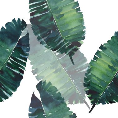 Parlak yeşil bitkisel tropikal harika hawaii çiçek yaz desen tropic monstera palmiye suluboya el illüstrasyon bırakır. Tekstil, duvar kağıtları, arka planlar için mükemmel