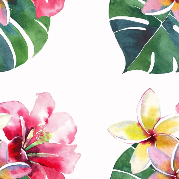 Ljusa Vackra Grön Blommig Växtbaserade Tropiska Härlig Hawaii Söt Multicolor — Stockfoto