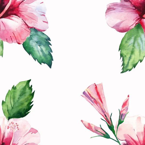 Ljusa Gröna Växtbaserade Tropiska Fantastiskt Hawaii Blommig Sommar Tropic Rosa — Stockfoto