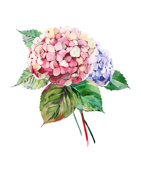우아한가 다채로운 부드러운 부드러운 꽃다발 수채화 인사말 카드에 — 스톡 사진