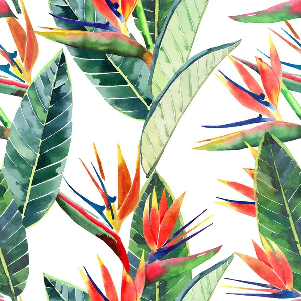 Helle Schöne Grüne Florale Kräuter Tropischen Schönen Hawaii Niedlichen Mehrfarbigen — Stockfoto