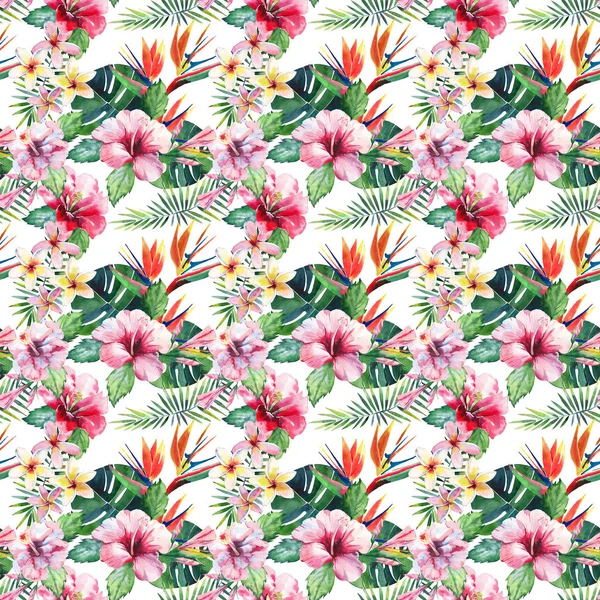 Яскраво Зелений Трав Яний Тропічний Чудовий Гавайський Квітковий Літній Візерунок — стокове фото