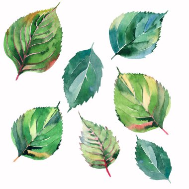 Güzel güzel şirin harika grafik parlak çiçek bitkisel sonbahar yeşil sarı desen suluboya el illüstrasyon bırakır. Tekstil, duvar kağıtları, kağıt sarma için mükemmel