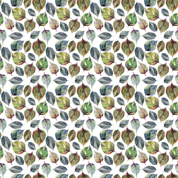 Güzel güzel şirin harika grafik parlak çiçek bitkisel sonbahar yeşil sarı desen suluboya el illüstrasyon bırakır. Tekstil, duvar kağıtları, kağıt sarma için mükemmel