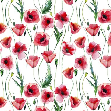 Parlak güzel harika yaz sonbahar bitkisel çiçek kırmızı haşhaş çiçekleri yeşil yaprakları desen suluboya el çizimi. Mükemmel tebrik kartı, tekstil, duvar kağıtları, afiş için