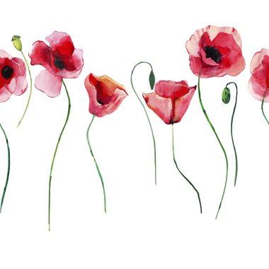 Parlak güzel harika yaz sonbahar bitkisel çiçek kırmızı haşhaş çiçekleri yeşil yaprakları desen suluboya el çizimi. Mükemmel tebrik kartı, tekstil, duvar kağıtları, afiş için