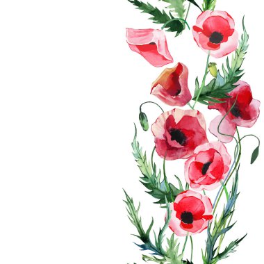 Harika güzel parlak yaz sonbahar bitkisel çiçek kırmızı haşhaş çiçekleri yeşil yaprakları öğeleri suluboya el çizimi. Mükemmel tebrik kartı, tekstil, duvar kağıtları, afiş için