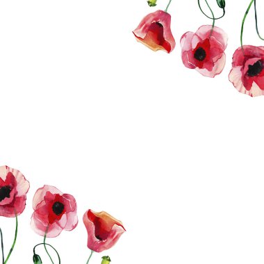 Harika güzel parlak yaz sonbahar bitkisel çiçek kırmızı haşhaş çiçekleri yeşil yaprakları öğeleri suluboya el çizimi. Mükemmel tebrik kartı, tekstil, duvar kağıtları, afiş için