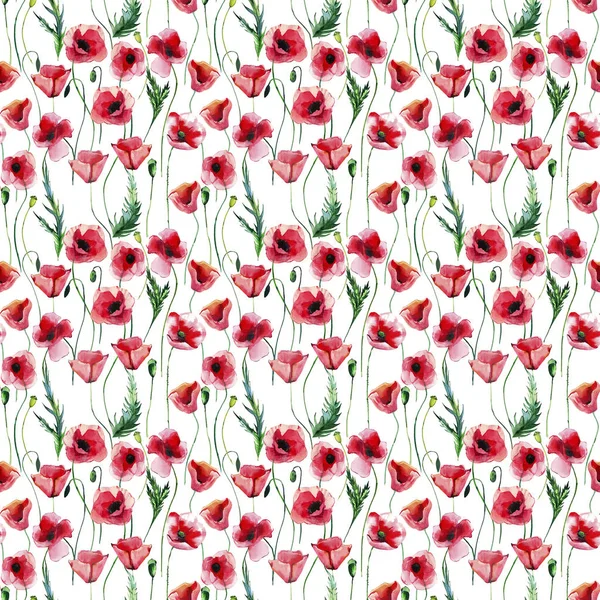 Fényes Szép Csodálatos Nyári Őszi Gyógynövényes Virágos Piros Pipacsok Virágok — Stock Fotó